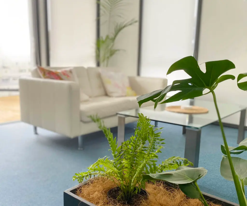 Horizon Counselling Victor Harbor rooms